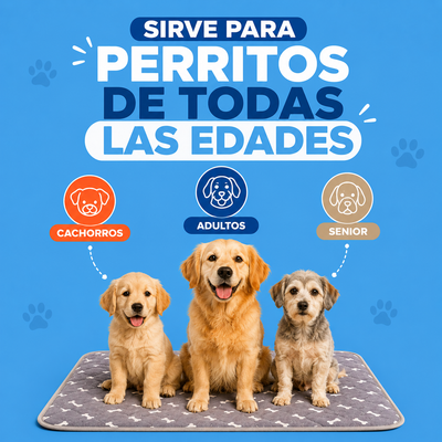 Doggypad – Olvídate de limpiar pipí para siempre