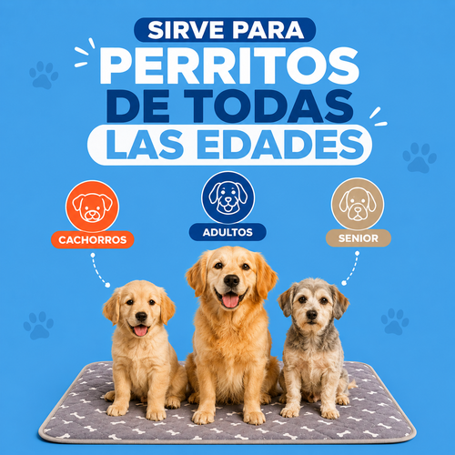 Doggypad – Olvídate de limpiar pipí para siempre
