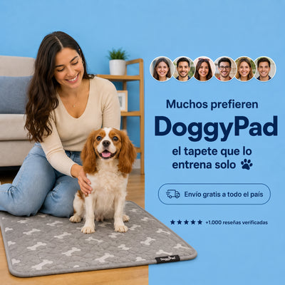 Doggypad – Olvídate de limpiar pipí para siempre