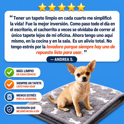 Doggypad – Olvídate de limpiar pipí para siempre